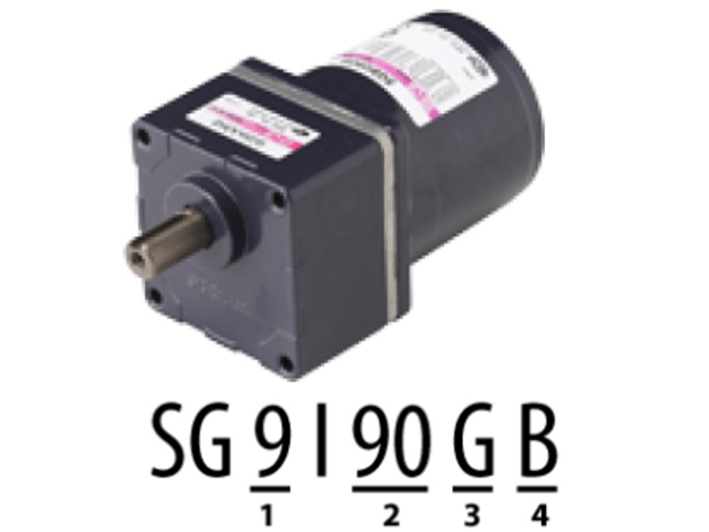 Standard AC Induction Motor