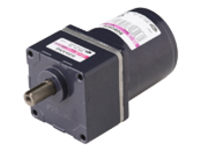 Standard AC Induction Motor