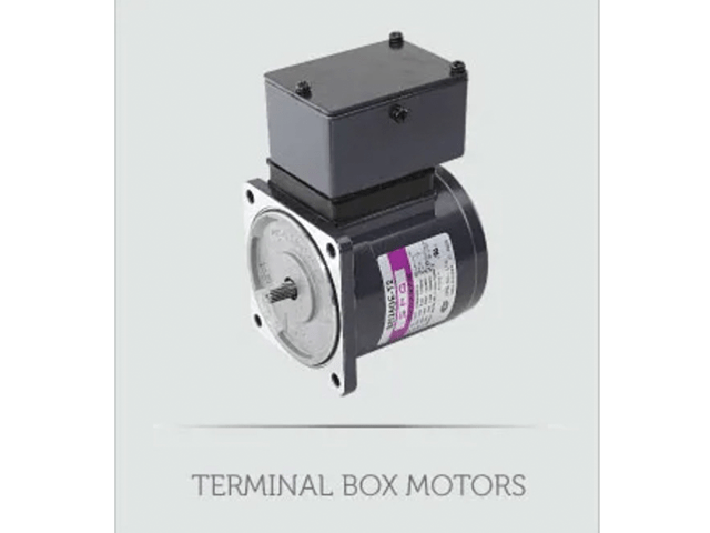 AC STANDARD TERMINAL BOX MOTORS